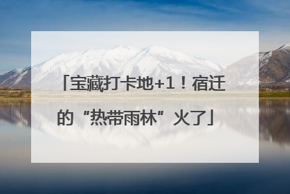 宝藏打卡地+1！宿迁的“热带雨林”火了