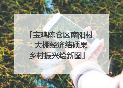 宝鸡陈仓区南阳村：大棚经济结硕果 乡村振兴绘新图