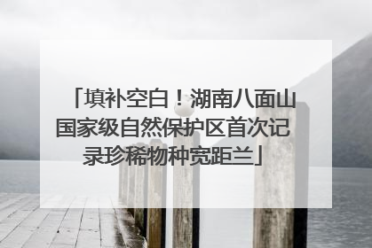 填补空白！湖南八面山国家级自然保护区首次记录珍稀物种宽距兰