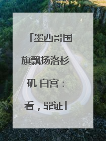 墨西哥国旗飘扬洛杉矶 白宫：看，罪证