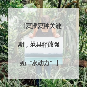 夏播夏种关键期，范县释放强劲“水动力”