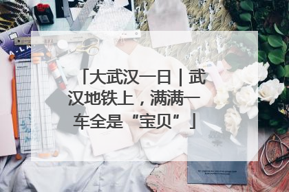 大武汉一日｜武汉地铁上，满满一车全是“宝贝”
