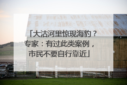 大沽河里惊现海豹？专家：有过此类案例，市民不要自行靠近
