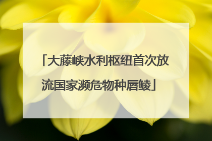大藤峡水利枢纽首次放流国家濒危物种唇鲮