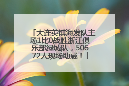大连英博海发队主场1比0战胜浙江俱乐部绿城队，50672人现场助威！