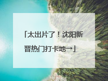 太出片了！沈阳新晋热门打卡地→