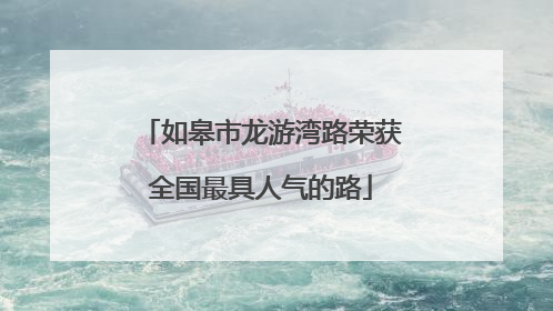 如皋市龙游湾路荣获全国最具人气的路