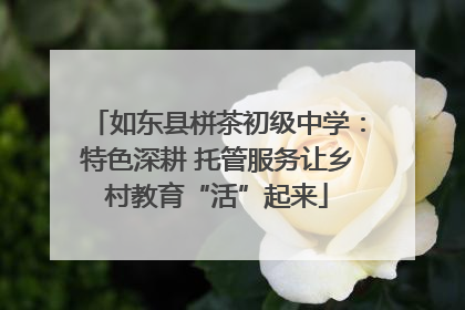 如东县栟茶初级中学：特色深耕 托管服务让乡村教育“活”起来
