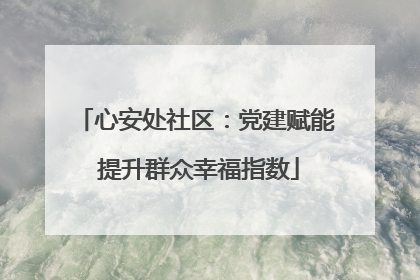 心安处社区：党建赋能 提升群众幸福指数