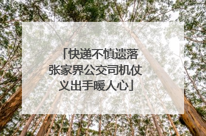 快递不慎遗落 张家界公交司机仗义出手暖人心