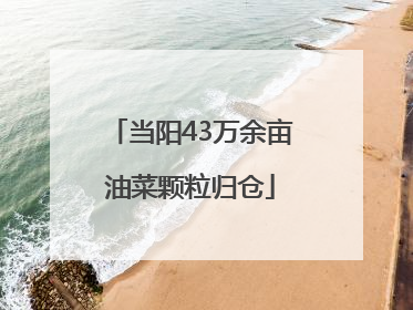 当阳43万余亩油菜颗粒归仓