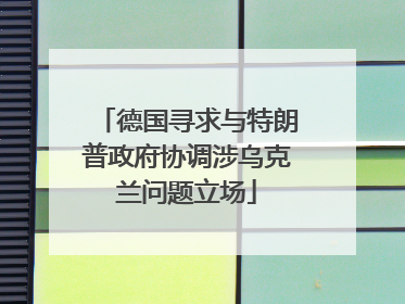 德国寻求与特朗普政府协调涉乌克兰问题立场