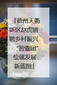 德州天衢新区赵虎镇聘乡村振兴“智囊团” 绘就发展新蓝图