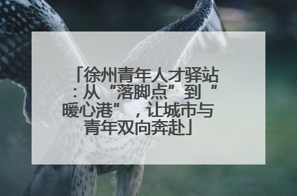 徐州青年人才驿站：从“落脚点”到“暖心港”，让城市与青年双向奔赴