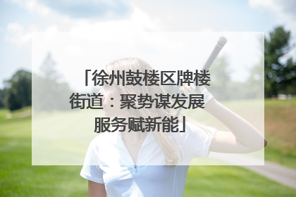徐州鼓楼区牌楼街道：聚势谋发展 服务赋新能