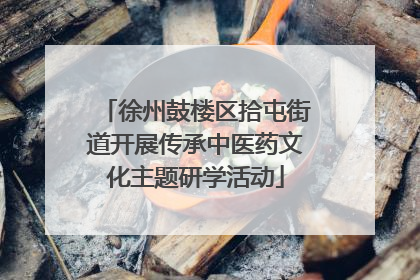 徐州鼓楼区拾屯街道开展传承中医药文化主题研学活动