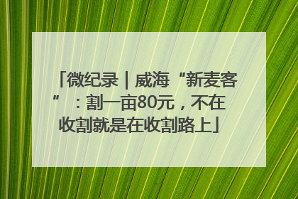 微纪录｜威海“新麦客”：割一亩80元，不在收割就是在收割路上