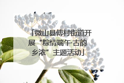 微山县傅村街道开展“粽情端午·古韵乡浓”主题活动