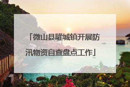 微山县驩城镇开展防汛物资自查盘点工作