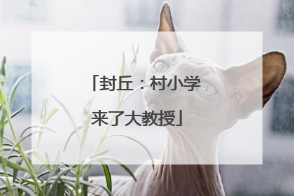 封丘：村小学来了大教授