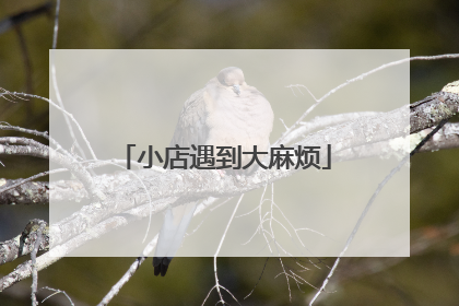 小店遇到大麻烦