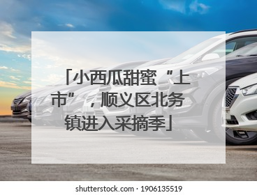 小西瓜甜蜜“上市”，顺义区北务镇进入采摘季