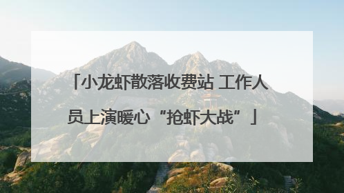 小龙虾散落收费站 工作人员上演暖心“抢虾大战”