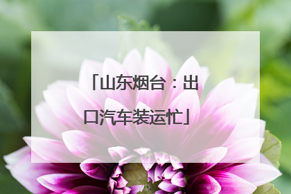山东烟台：出口汽车装运忙