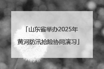山东省举办2025年黄河防汛抢险协同演习