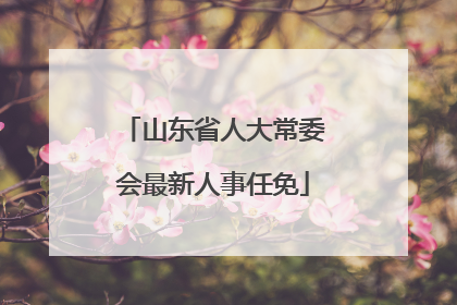 山东省人大常委会最新人事任免