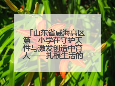 山东省威海高区第一小学在守护天性与激发创造中育人——扎根生活的科学教育更有效