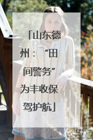 山东德州：“田间警务”为丰收保驾护航