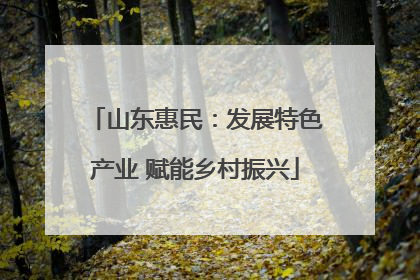 山东惠民：发展特色产业 赋能乡村振兴