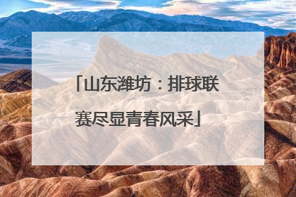 山东潍坊：排球联赛尽显青春风采