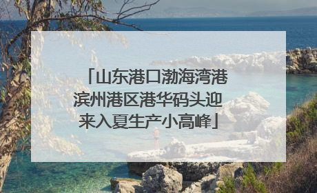 山东港口渤海湾港滨州港区港华码头迎来入夏生产小高峰