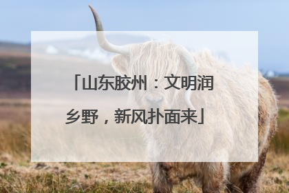 山东胶州：文明润乡野，新风扑面来