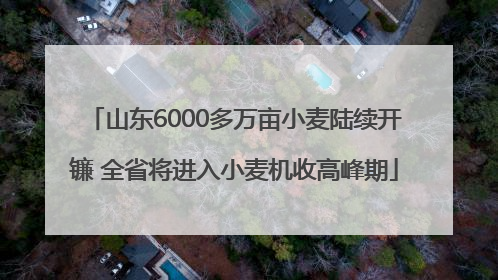 山东6000多万亩小麦陆续开镰 全省将进入小麦机收高峰期