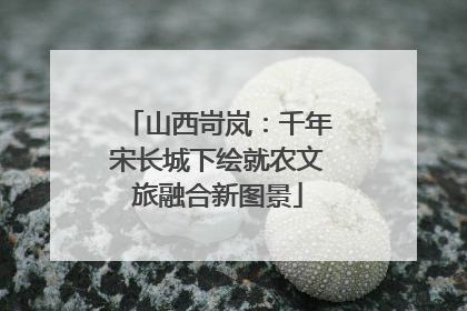 山西岢岚：千年宋长城下绘就农文旅融合新图景