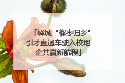 峄城“榴枣归乡”引才直通车驶入校地企共赢新航程