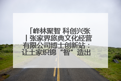 峰林聚智 科创兴张丨张家界旅典文化经营有限公司博士创新站：让土家织锦“智”造出非遗新传奇