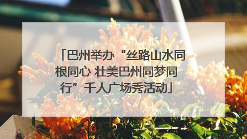 巴州举办“丝路山水同根同心 壮美巴州同梦同行”千人广场秀活动