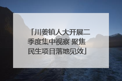 川姜镇人大开展二季度集中视察 聚焦民生项目落地见效