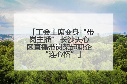 工会主席变身“带岗主播” 长沙天心区直播带岗架起职企“连心桥”