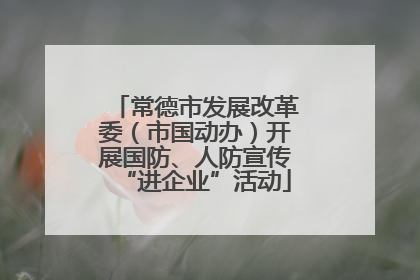 常德市发展改革委（市国动办）开展国防、人防宣传“进企业”活动