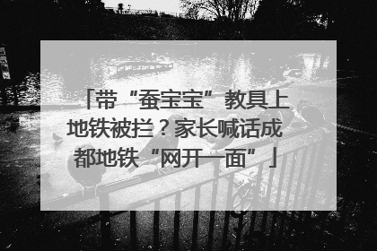 带“蚕宝宝”教具上地铁被拦？家长喊话成都地铁“网开一面”
