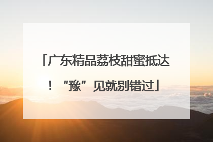 广东精品荔枝甜蜜抵达！“豫”见就别错过