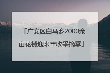 广安区白马乡2000余亩花椒迎来丰收采摘季