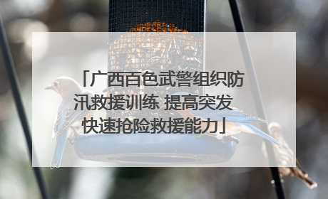 广西百色武警组织防汛救援训练 提高突发快速抢险救援能力
