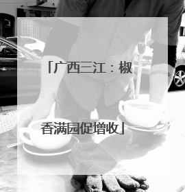 广西三江：椒香满园促增收