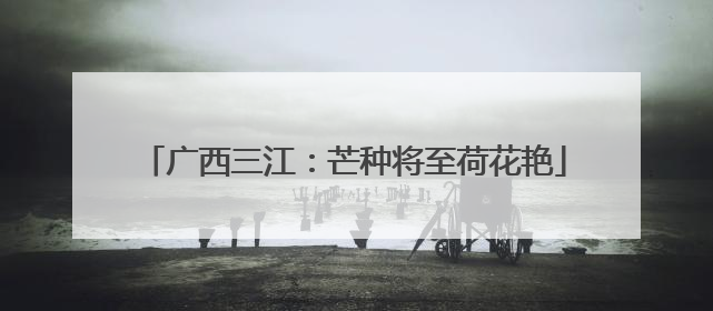 广西三江：芒种将至荷花艳